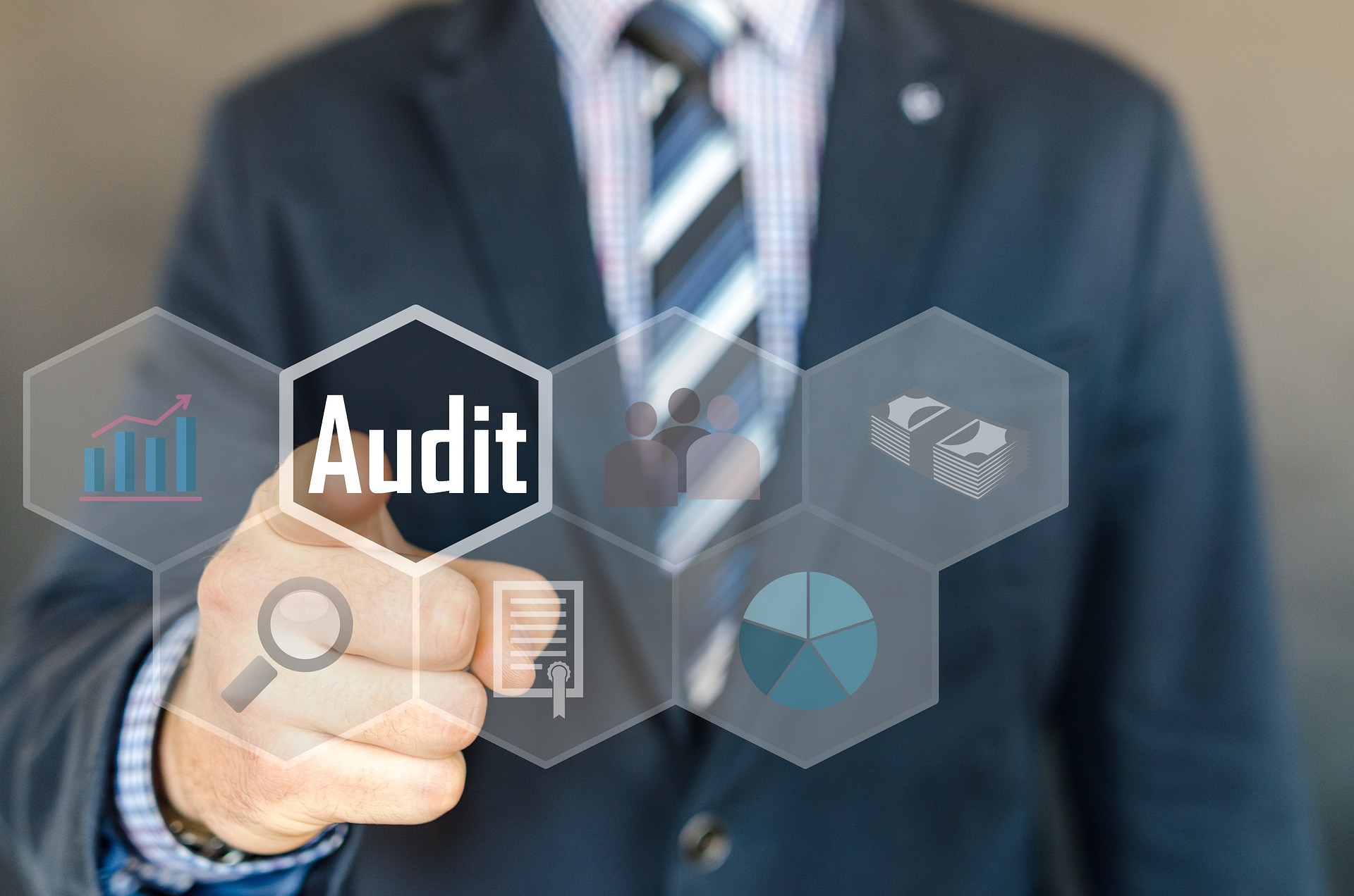 Auditing support services